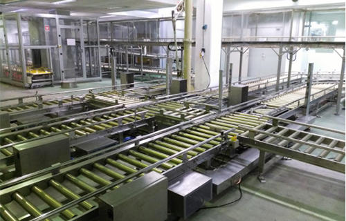 大金氟涂料成品输送线